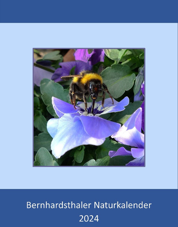 Bienenkalender 2024
