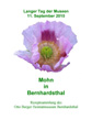 Mohn in Bernhardsthal