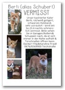 Vermisst - Bertisuche