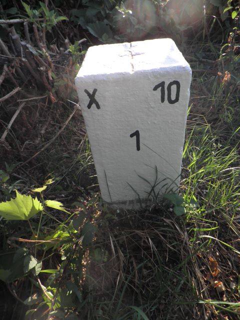 Nebenstein X10 1