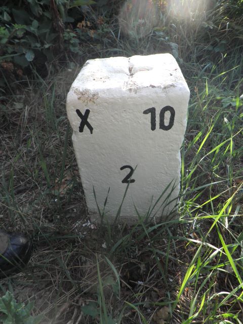 Nebenstein X10 2