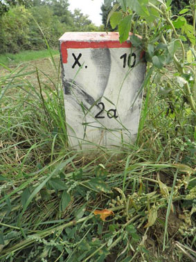 Nebenstein X10 2a
