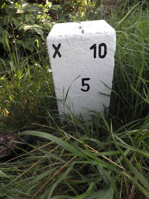 Nebenstein X10 5