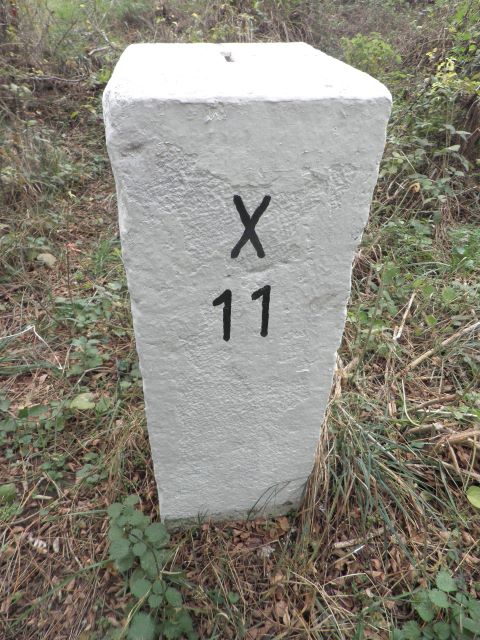 Hauptstein X11