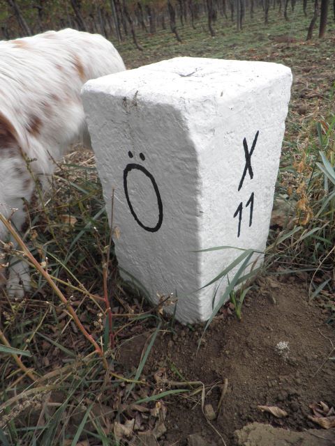Nebenstein X11 
