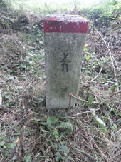 Hauptstein X11