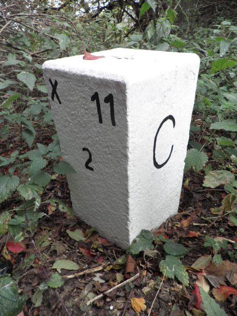 Nebenstein X11 2 C