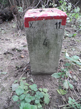 Nebenstein X11 4