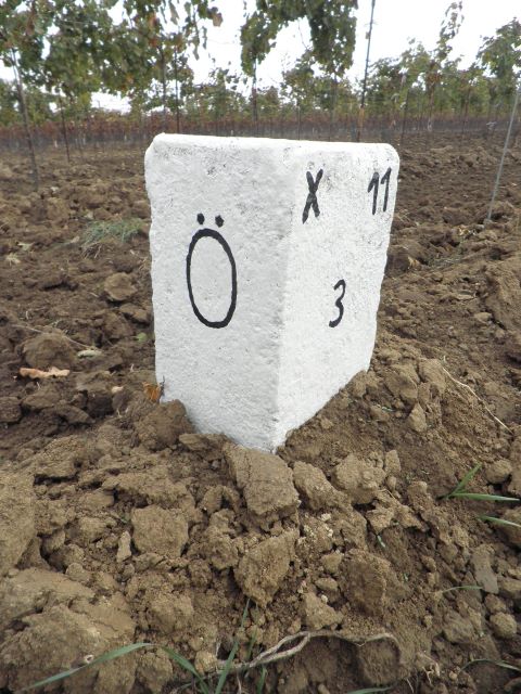 Hauptstein X11 3 