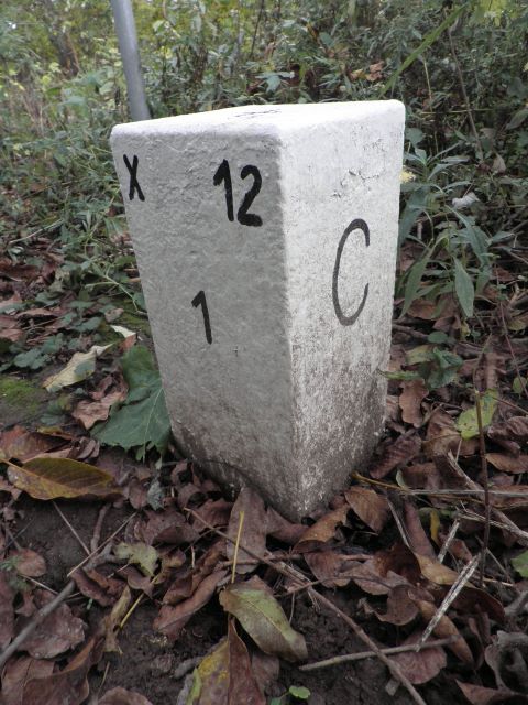 Nebenstein X12 1 C