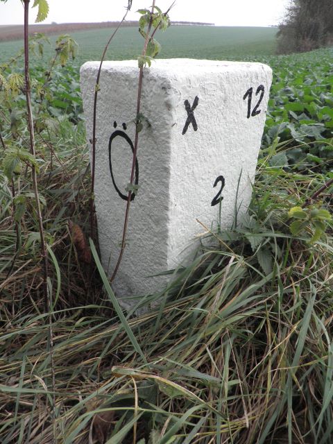 Nebenstein X12 2 