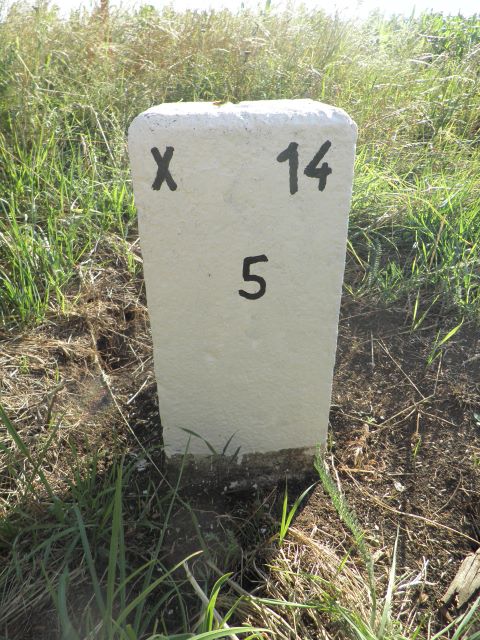 Nebenstein X14 5
