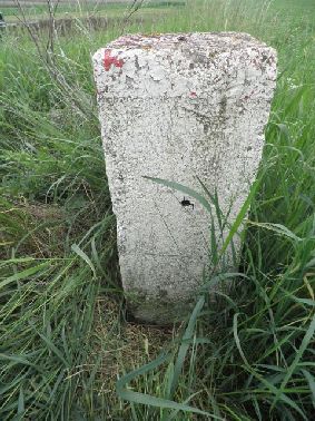 Hauptstein X15