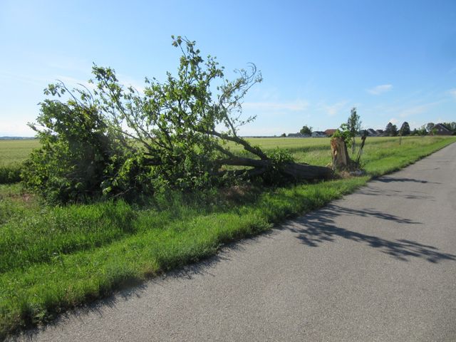 Mhlweg-Kreuz