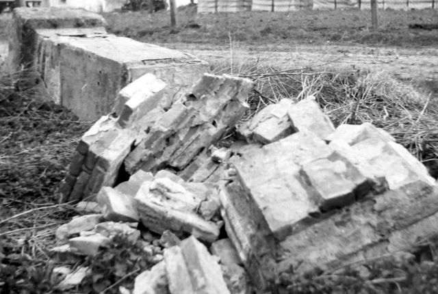 vom Winde zerstrt, 1994
