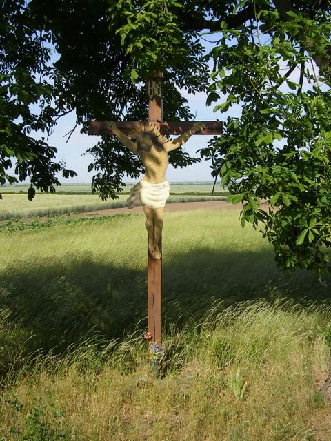 Schmaus-/Strnad-Kreuz