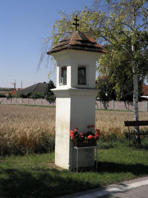 Wild Marterl