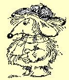 Womble Orinoco
